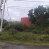 Mantener Jardín