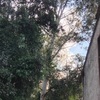 Otros Trabajos Jardinería
