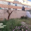 Mantener Jardín