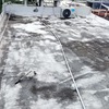 Trabajos De Impermeabilización