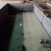 Trabajos Mantenimiento Alberca