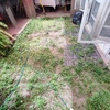 Plantar Jardín