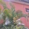 Pintar Exterior Casa 