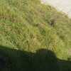 Mantener Jardín