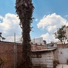 Otros Trabajos Jardinería