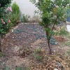 Plantar Jardín