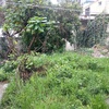 Otros Trabajos Jardinería
