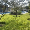 Mantener Jardín