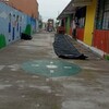 Instalar Toldo