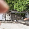 Ampliar Casa
