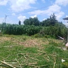 Construir Barda