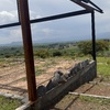 Construir Pared