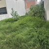 Limpieza de Obra