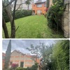 Mantener Jardín