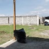 Construir Casa