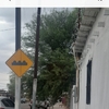 Otros Trabajos Jardinería