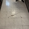 Colocar Loseta o Azulejo