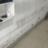 Limpieza Local Comercial O Industrial
