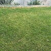 Instalar Sistemas de Riego