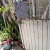 Remodelación Parcial Casa