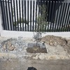 Retiro de Escombros