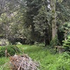 Plantar Jardín