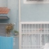 Colocar Loseta o Azulejo