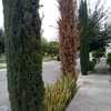 Otros Trabajos Jardinería