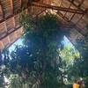 Otros Trabajos Jardinería
