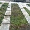 Realizar Control De Plagas