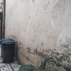 Colocar Loseta o Azulejo