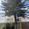 Otros Trabajos Jardinería