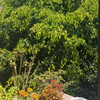 Otros Trabajos Jardinería