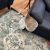 Tapizado De Muebles