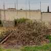 Otros Trabajos Jardinería