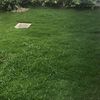 Mantener Jardín
