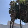 Otros Trabajos Jardinería