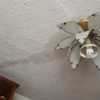 Reparar Goteras