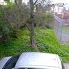 Otros Trabajos Jardinería