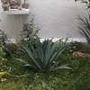 Otros Trabajos Jardinería