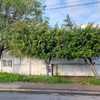 Cotización poda de jardín