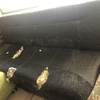 Tapizado De Muebles
