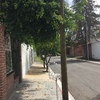 Otros Trabajos Jardinería