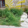 Otros Trabajos Jardinería