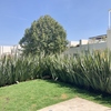 Trabajos De Impermeabilización