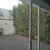 Mantener Jardín