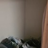 Otros Trabajos Carpinteros