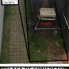 Colocación de adopasto