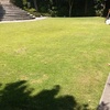 Mantenimiento jardin