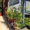 Otros Trabajos Jardinería